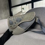 Canguro Dior Saddle