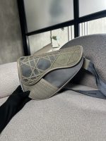 Canguro Dior Saddle